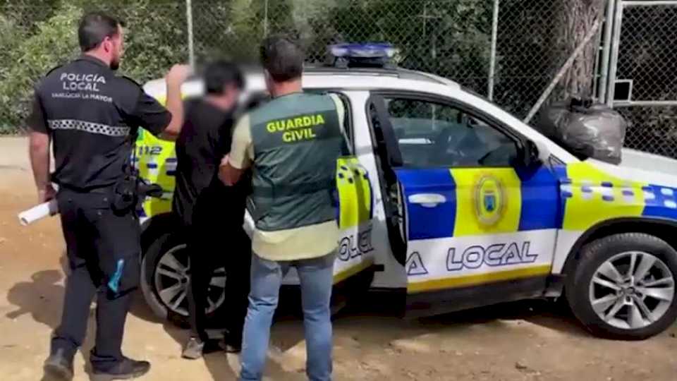 detenida-una-mujer-en-sevilla-con-28-perros-abandonados,-a-los-que-usaba-para-estafar