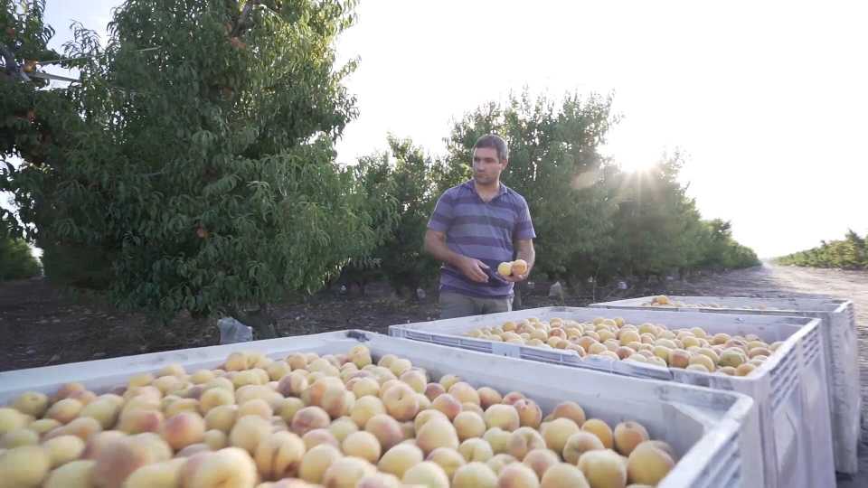 las-exportaciones-de-las-economias-regionales-crecieron-un-4,6%-en-dolares-y-un-9,4%-en-volumen-en-junio