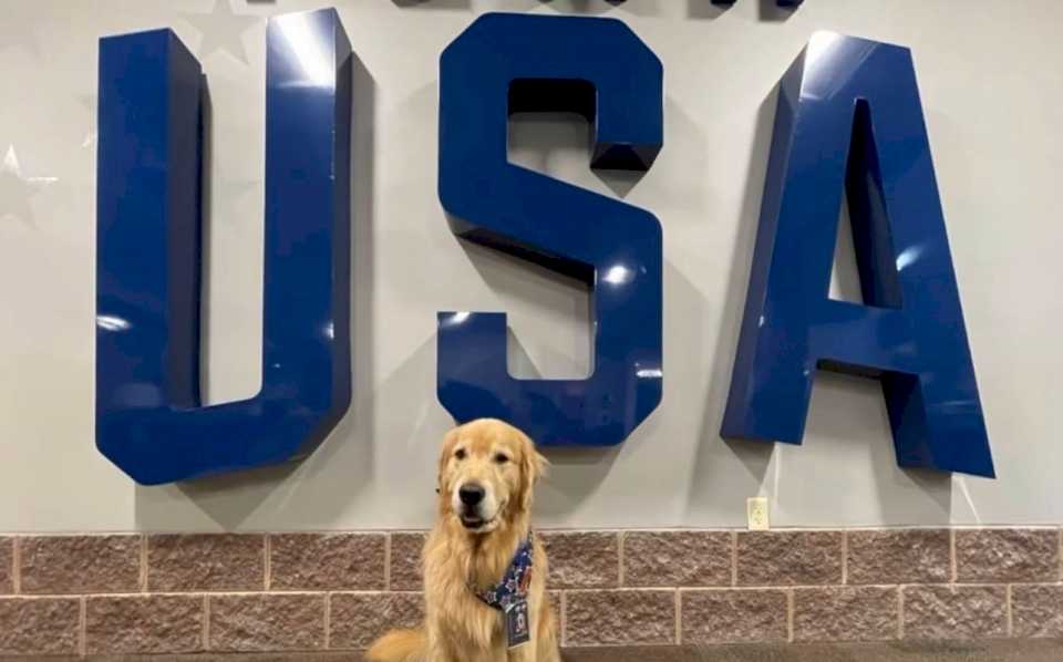 la-ayuda-de-los-animales-de-terapia-para-la-salud-mental-llego-a-los-juegos-olimpicos-de-paris-2024