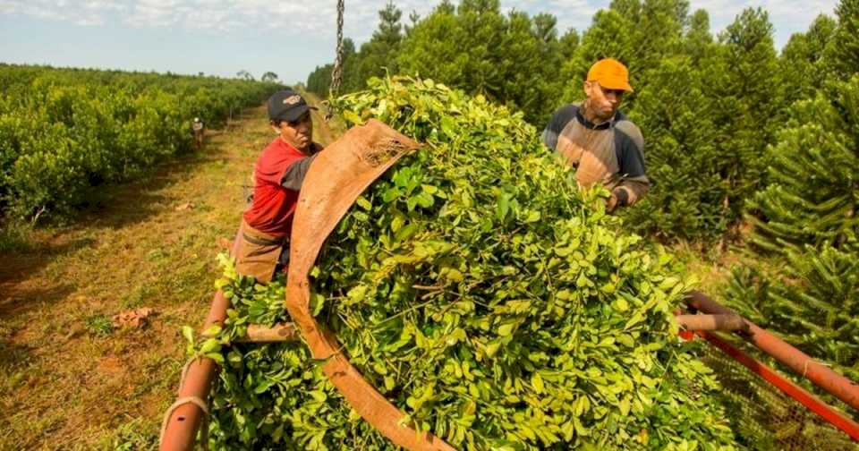 Reforma laboral: primer fallo de despido de un trabajador sin multas para el empleador por no haberlo registrado