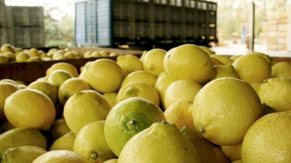 Los precios de los agroalimentos se triplicaron del campo a la góndola en julio