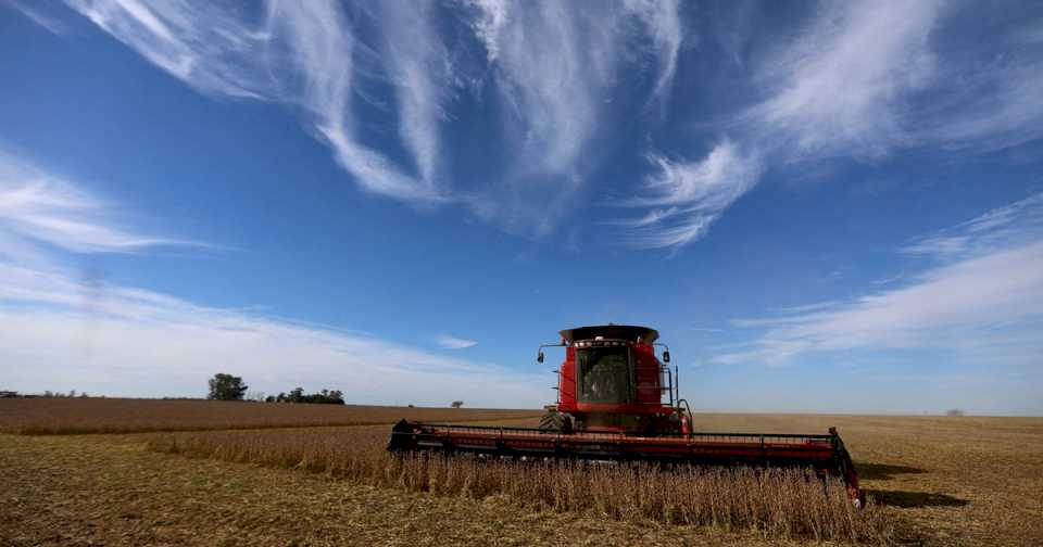 Agroindustria, turismo y tecnología: cuál es la provincia que tiene el modelo productivo preferido por los argentinos