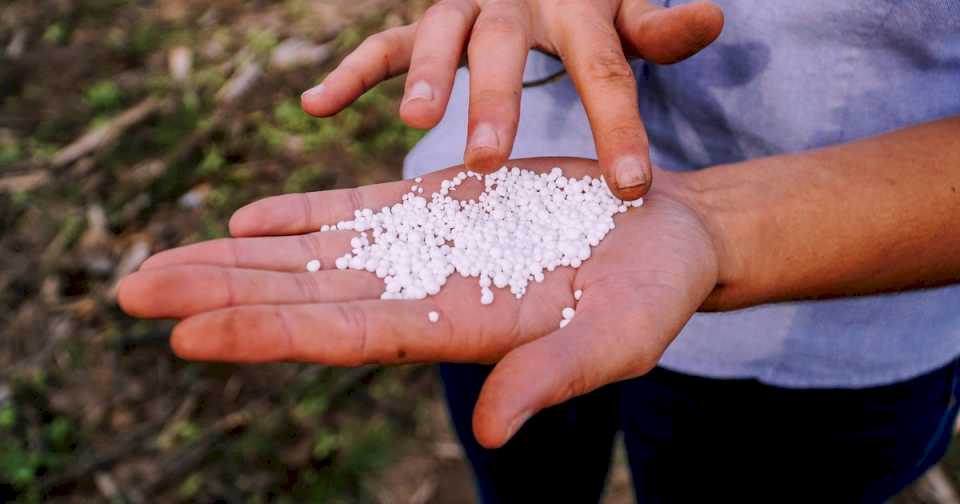 Anuncio de Luis Caputo: a cuánto deberían bajar los precios de fertilizantes por la reducción del impuesto País