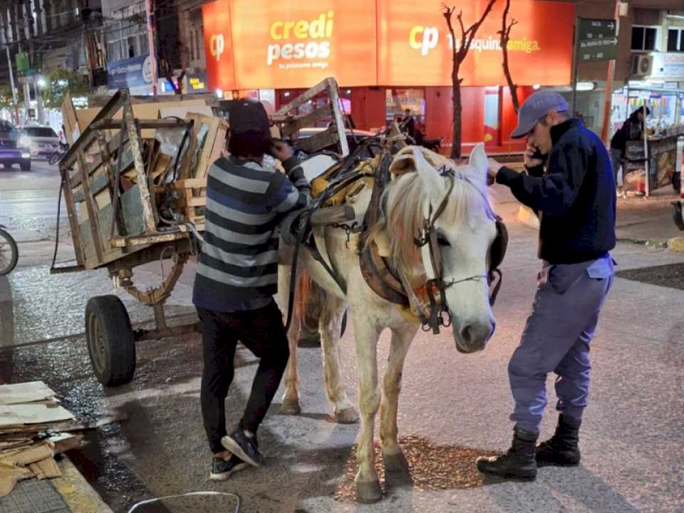 prohibicion-de-la-tas:-el-municipio-y-la-policia-realizan-operativos-en-conjunto-en-el-micro-y-macrocentro