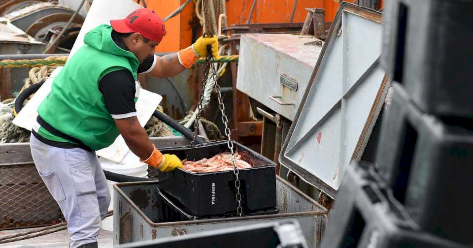 la-pesca-en-el-fondo-del-mar:-crisis-cuando-abundan-salmones-y-langostinos