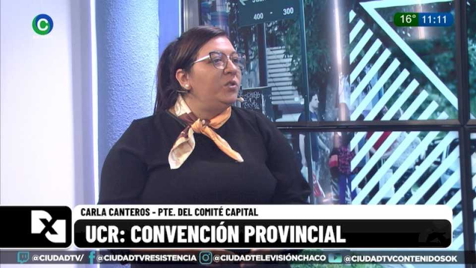 Convención de la UCR: “El camino es seguir buscando los consensos para seguir trabajando juntos y fortalecer el partido”