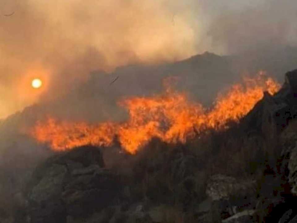 incendio-en-traslasierra:-el-fuego-arraso-con-animales-y-vegetacion-en-la-estancia-taruca-pampa