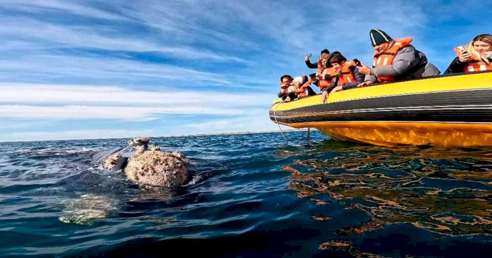 septiembre-es-de-las-ballenas-en-las-grutas