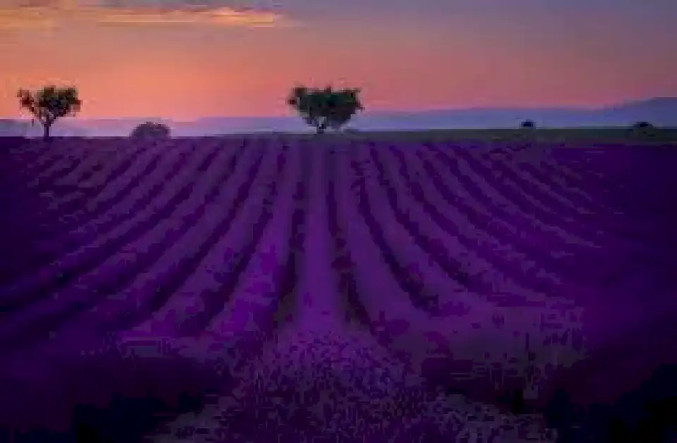 alertan-sobre-que-una-gran-nube-de-humo-violeta-se-extendera-sobre-salta,-gran-parte-del-noa-y-el-litoral