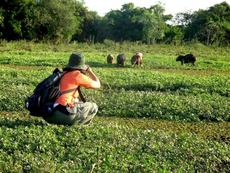 una-turista-italiana-denuncio-que-abusaron-sexualmente-de-ella-en-los-esteros-del-ibera