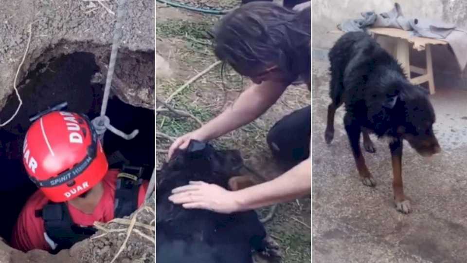 cordoba:-bomberos-rescataron-a-un-perro-que-cayo-a-un-profundo-pozo-ciego