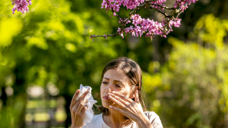 alergias-en-aumento:-1-de-cada-5-argentinos-padece-de-rinitis-alergica