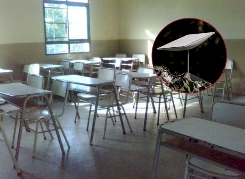 escuelas-del-interior-tendran-internet-con-antenas-de-starlink