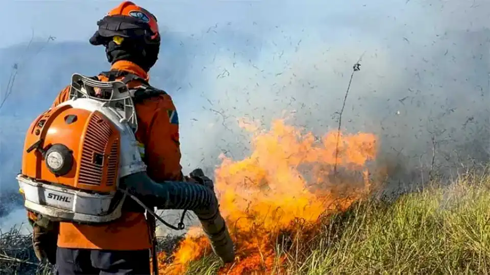 paraguay-decreta-educacion-virtual-en-zonas-afectadas-por-incendios