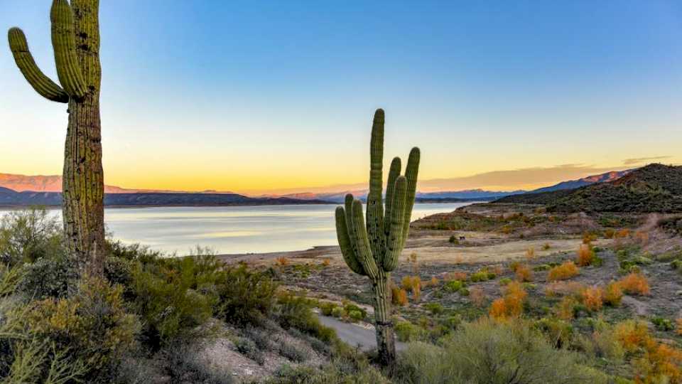 Los desiertos están amenazados por el agua