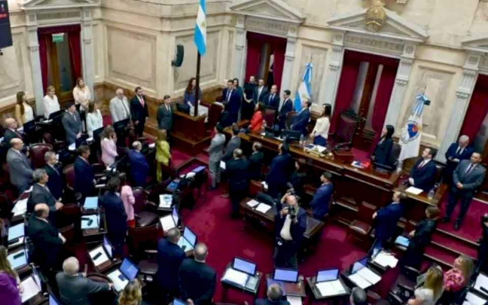 Revés para el Gobierno: el Senado tratará el DNU por los fondos millonarios a la SID