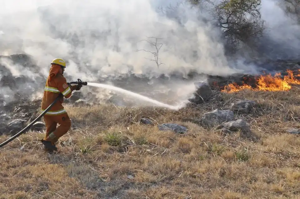 incendios:-bomberos-combaten-un-foco-al-norte-del-valle-de-punilla