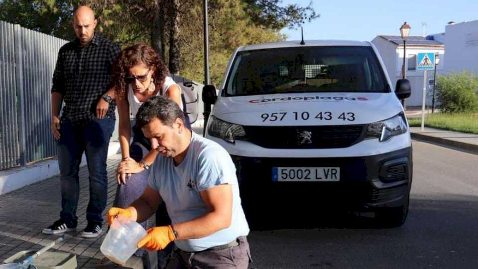 Usuarios piden la clausura de un parque en Montilla por una plaga de insectos