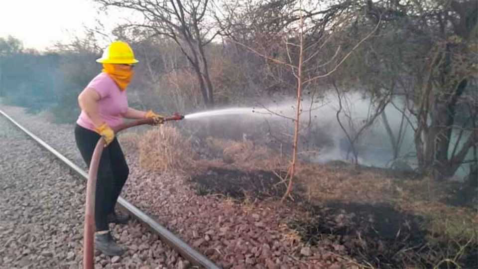 bomberos-lograron-controlar-un-incendio-forestal-a-la-vera-del-ferrocarril-en-colonia-dora