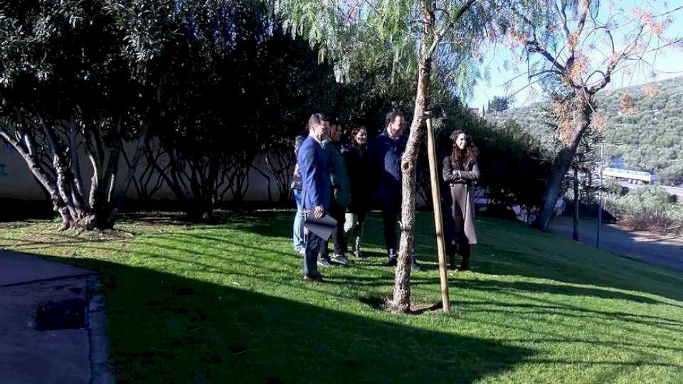 El Ayuntamiento de Priego buscará una nueva ubicación para el jardín botánico de variedades de olivo