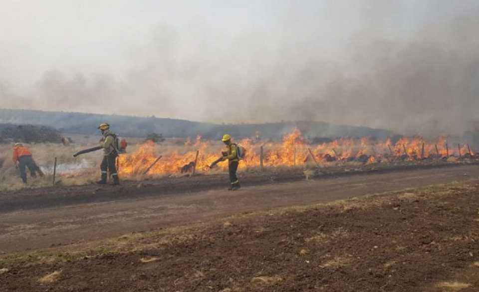 Advierten fuerte retroceso en materia ambiental