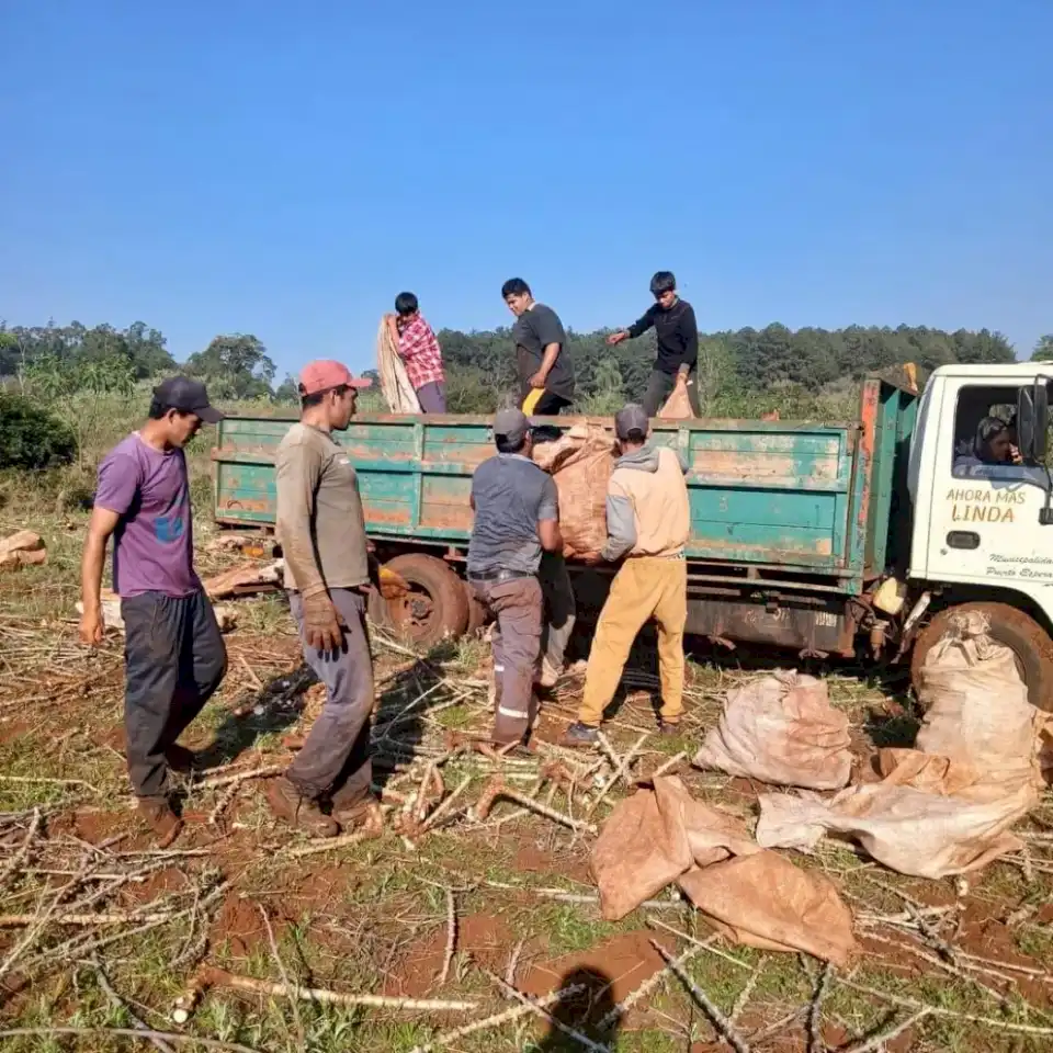 puerto-esperanza:-asisten-a-pequenos-productores-de-mandioca