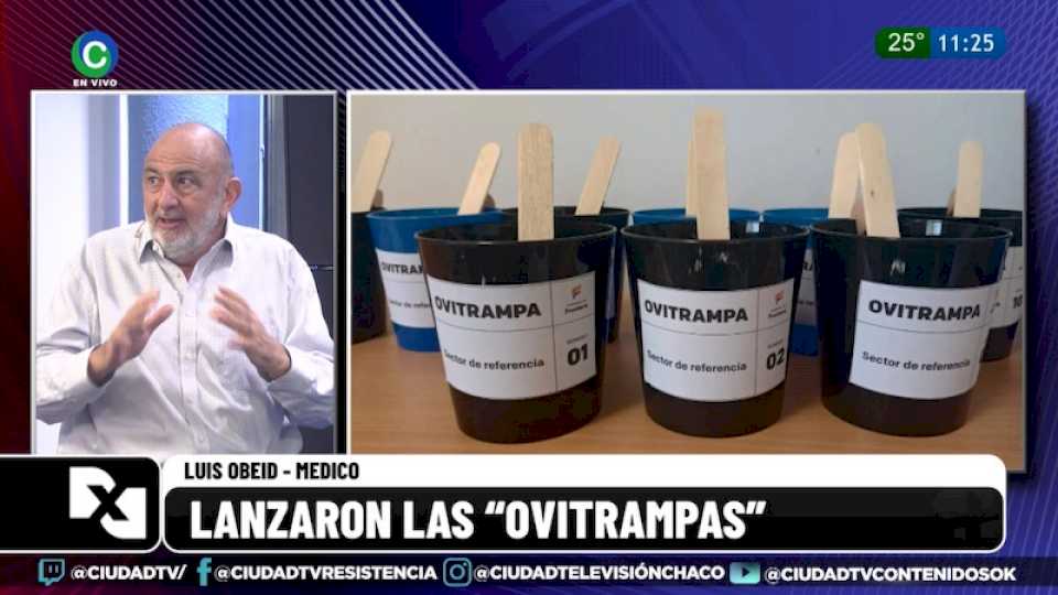 Ovitrampas en Barranqueras: “Es un testeo permanente para saber dónde ir más a fondo”