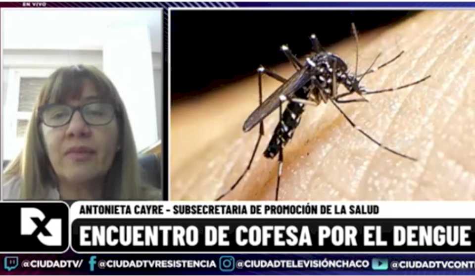 Reunión del COFESA: “La primera línea de acción para el control del dengue es la eliminación de criaderos”