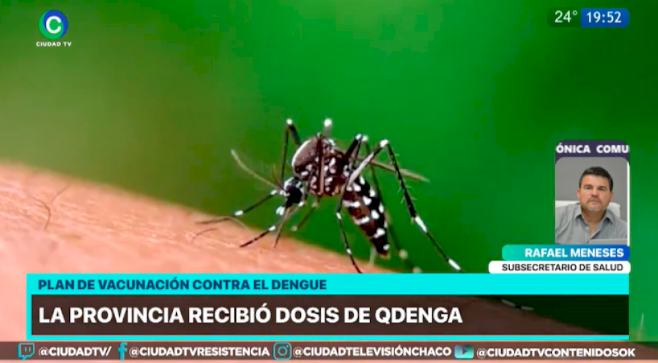 Dengue: “La vacuna es una muy buena herramienta, pero no reemplaza el combate contra el mosquito”