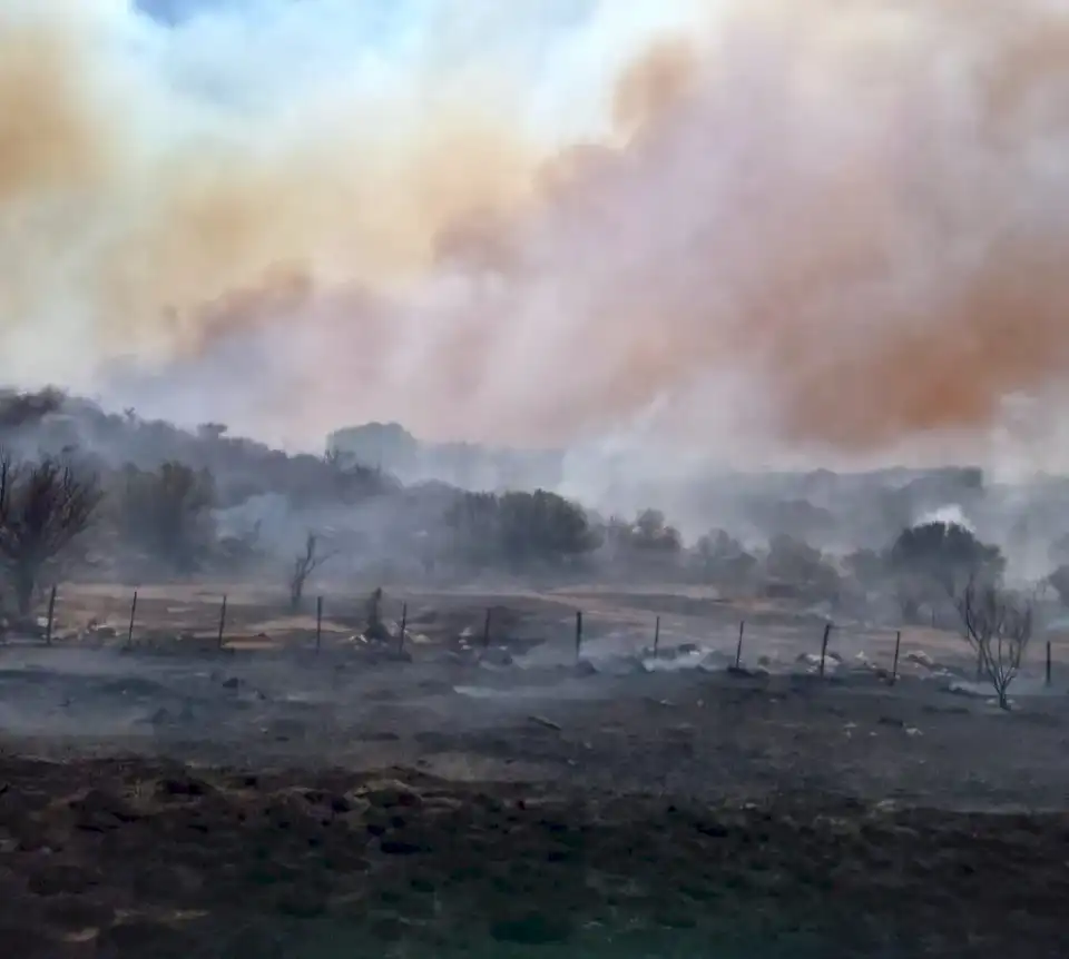 CONAE reportó que ya son más de 35.000 las hectáreas quemadas en San Martín