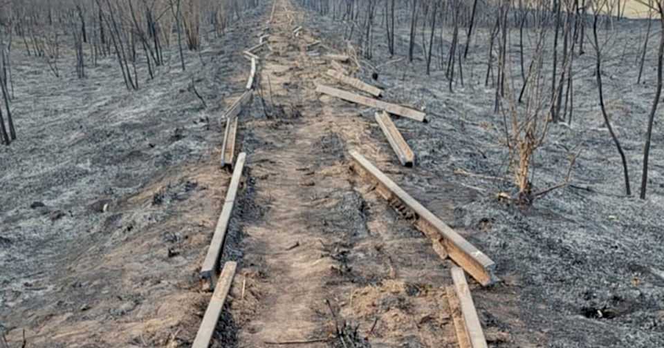 Insólito: descubren una banda en Salta que roba toneladas de rieles del Belgrano Cargas