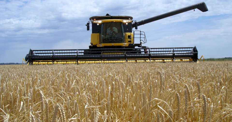 La presión impositiva sobre el campo creció 1,6%: casi dos tercios de la renta agrícola se los lleva el Estado