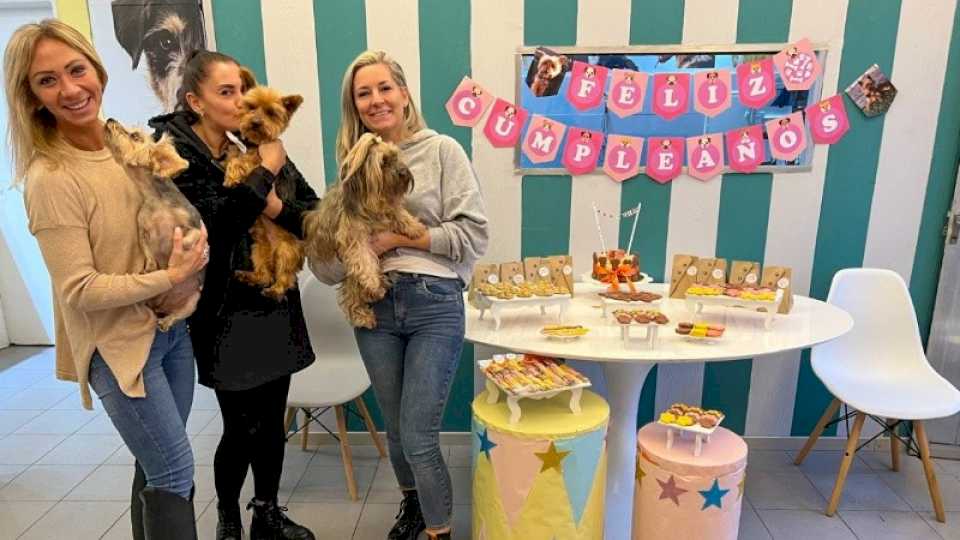 abrio-en-rosario-el-primer-salon-de-cumpleanos-para-mascotas:-“invitan-a-perritos-amigos”