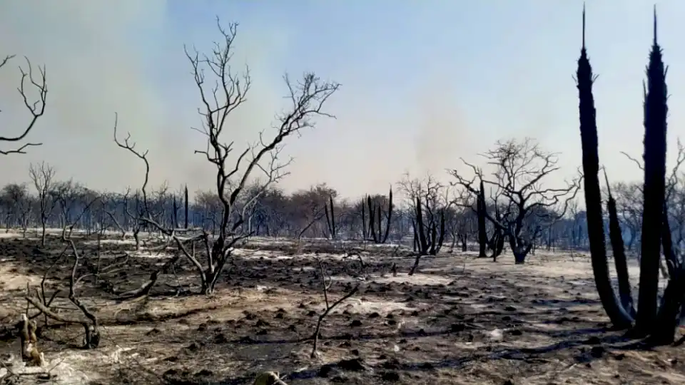 Dictan la prisión preventiva al imputado de iniciar el incendio en el paraje Balcarce