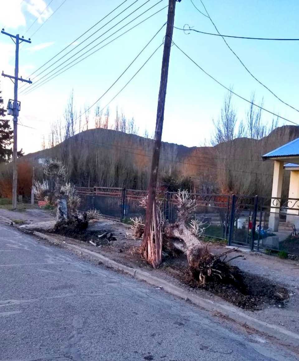 un-peligro:-un-camionero-borracho-choco-contra-un-tendido-electrico-en-gobernador-costa