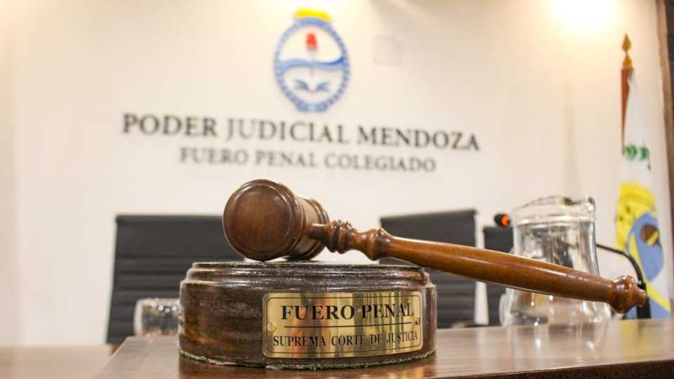 la-justicia-de-mendoza-no-hace-nada-contra-las-mujeres-que-realizan-falsas-denuncias