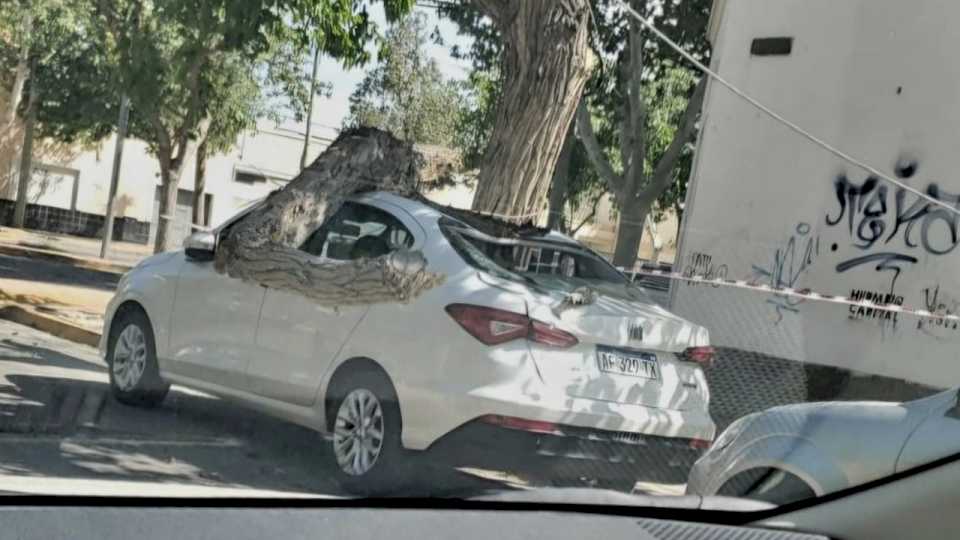 consecuencias-del-viento-zonda:-un-auto-destrozado-y-varias-caidas-de-ramas