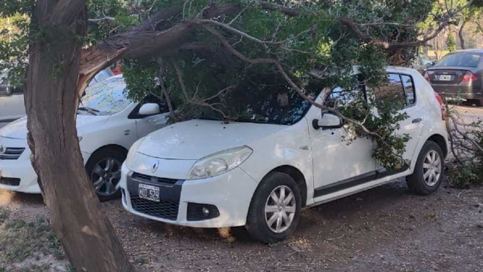 viento-zonda:-alumnos-de-la-unsj-estallaron-de-furia-por-la-no-suspension-de-clases