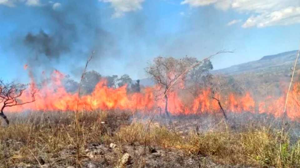 el-zonda-y-la-imprudencia-de-vecinos-provocaron-varios-focos-de-incendios