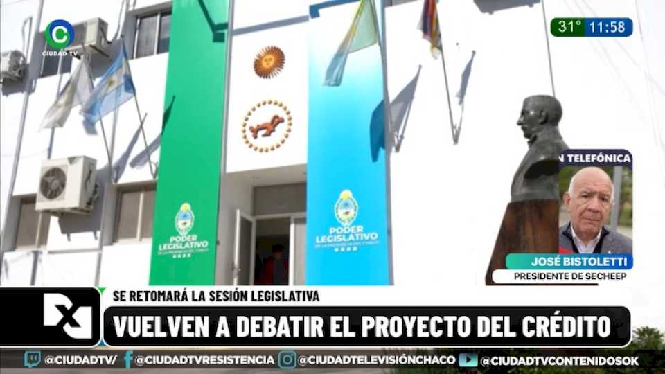 Emergencia energética: “Todas las inversiones se hacen en dólares, por eso se necesita el préstamo en dólares”, aseguró Bistoletti