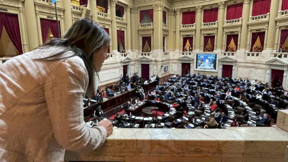 diputados-convirtio-en-ley-la-boleta-unica-de-papel,-el-sistema-que-utiliza-mendoza-para-votar