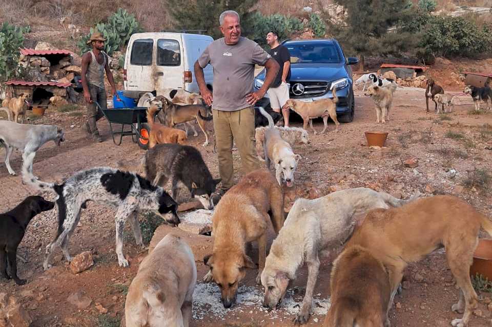 hombre-del-sur-de-libano-cuida-a-mascotas-abandonadas-mientras-residentes-huyen-de-ataques-aereos