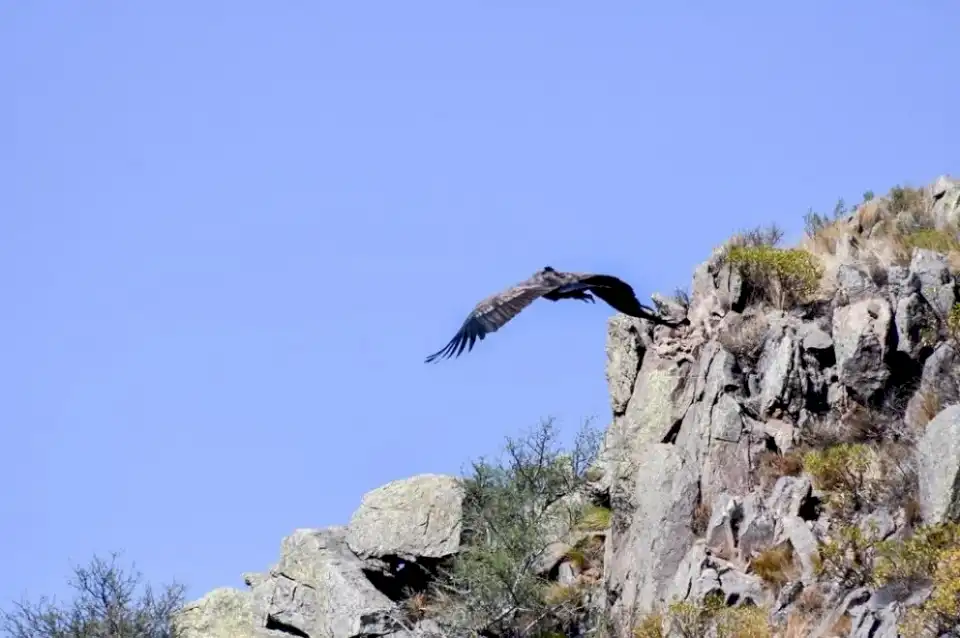 «Sariri» y «Waikiri» marcan un nuevo rumbo en el cielo de San Francisco del Monte de Oro