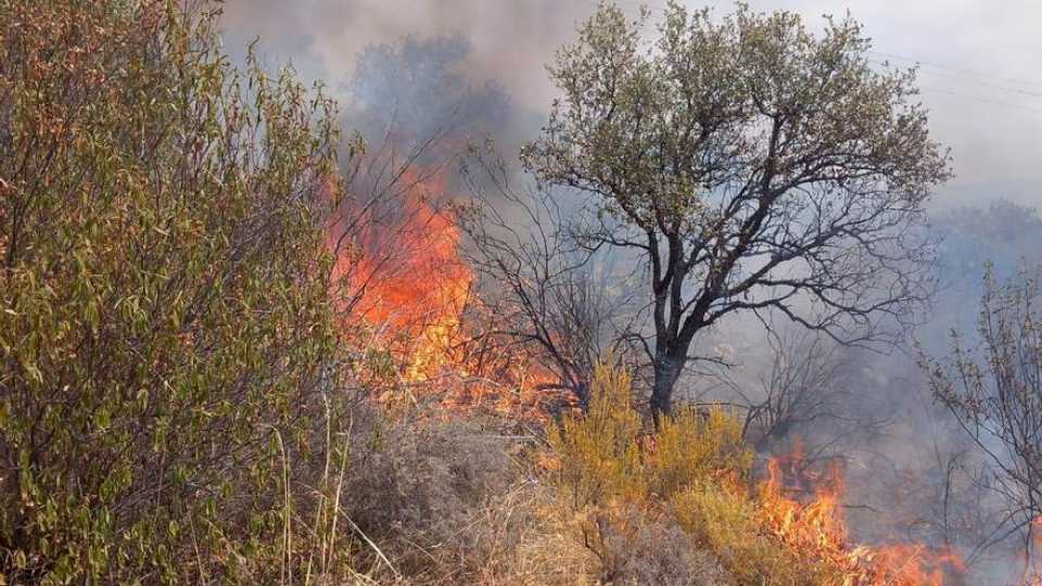 El Infoca trabaja para sofocar un incendio forestal en Belmez