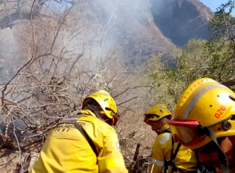 Incendio en Quines: el único foco activo en la provincia está contenido