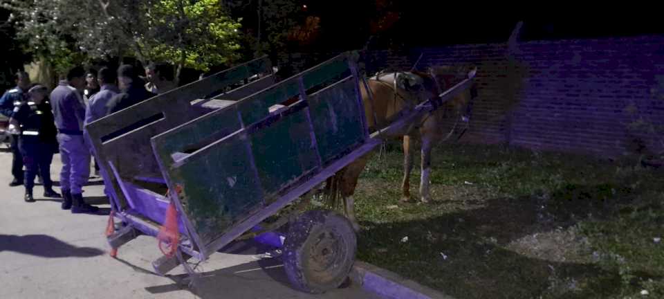 Multa, demora y secuestro de un carro por arrojo de residuos en la calle