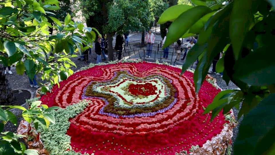 Guía para visitar Flora 2024 en Córdoba: horarios, espacios, artistas y programa paralelo