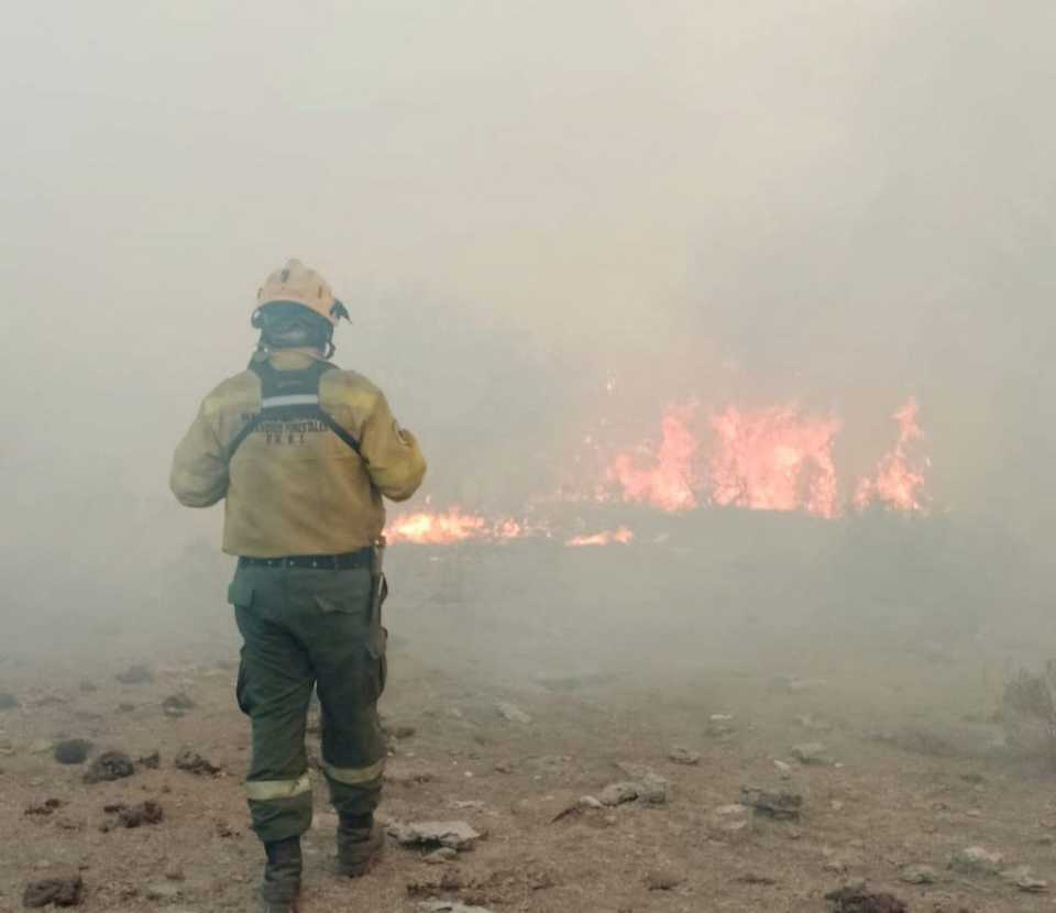 bomberos-combaten-un-incendio-forestal-en-batavia