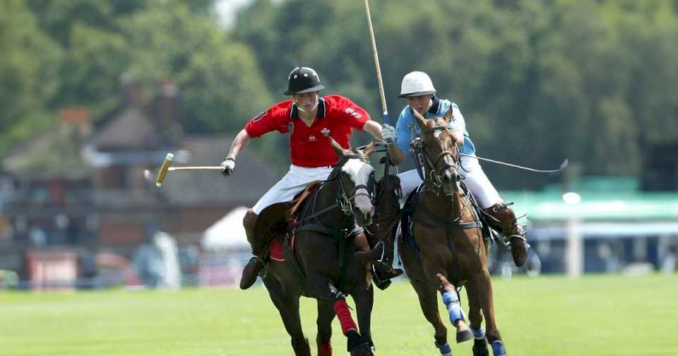 de-jugar-al-polo-con-principes-a-sherpa-digital-en-la-argentina