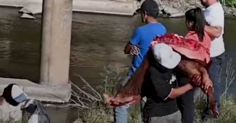 Un camión volcó en la ruta 9 y los vecinos se organizaron para faenar a las vacas: «Nos vamos a comer un re asado, gordo»